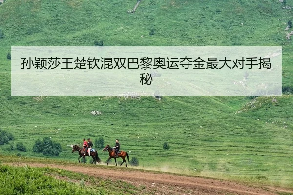 孙颖莎王楚钦混双巴黎奥运夺金最大对手揭秘