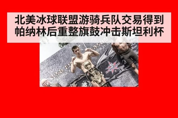 北美冰球联盟游骑兵队交易得到帕纳林后重整旗鼓冲击斯坦利杯