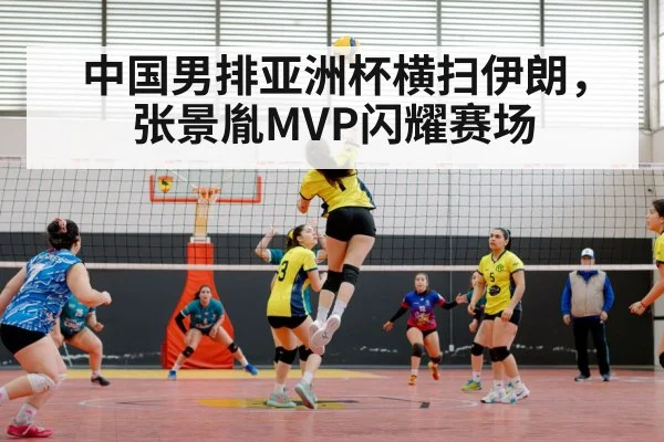 volleyball match action